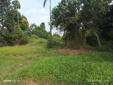 Image of 1000 Sq.ft Residential Plot / Land for sale in Thalayolaparambu, Kottayam for Rs. 10000000
