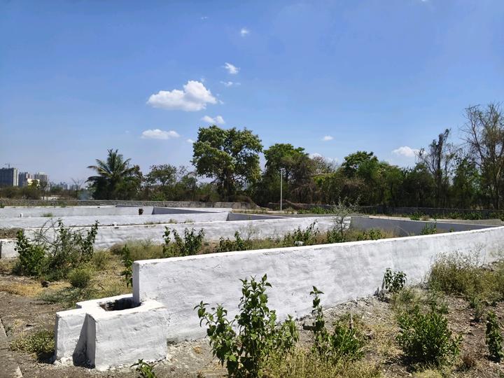 goldmark shrishti Main Image 1
