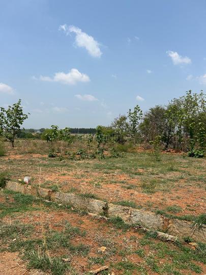 Shankara Nagar Main Image 1