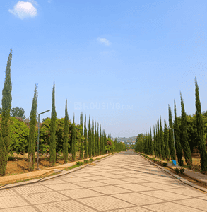 Image of 1810 Sq.ft Residential Plot / Land for sale in Kaggalahalli, Bengaluru for Rs. 8959500