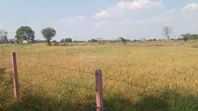Image of 62000 Sq.ft Residential Plot / Land for sale in Bhedaghat, Jabalpur for Rs. 18000000