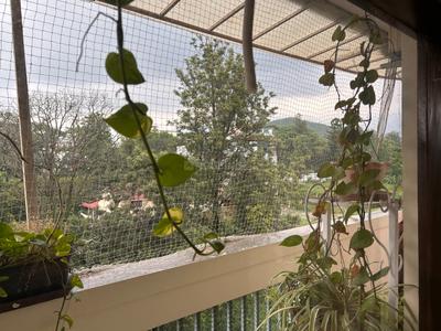 Balcony Image of 2340 Sq.ft 3 BHK Apartment / Flat for rent in Markx Whispering Willow, Kishanpur Dehradun for Rs. 70000