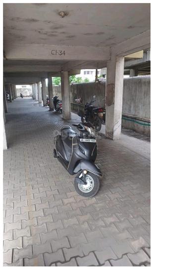 Apple gardenia Main Image 1