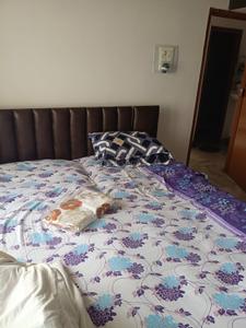 Bedroom Image of 690 Sq.ft 2 BHK Apartment / Flat for sale in Bairagarh Bhopal for Rs. 2300000