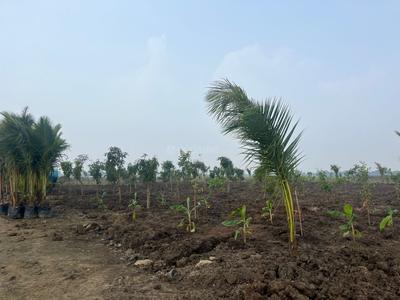 Image of 1500 Sq.ft Residential Plot / Land for sale in Madurantakam, Chennai for Rs. 1500000