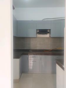 Kitchen Image of 1245 Sq.ft 2 BHK Apartment / Flat for rent in ACE Divino, Noida Extension Greater Noida for Rs. 24000