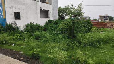 Tarodi Plot View 3
