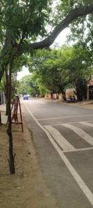 Image of 3960 Sq.ft Residential Plot / Land for sale in Neelankarai, Chennai for Rs. 72500000