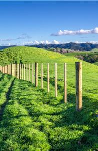 Image of 3638 Sq.ft Residential Plot / Land for sale in Karjat, Thane for Rs. 2906762