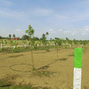 Image of 9600 Sq.ft Residential Plot / Land for sale in Chengalpattu, Chennai for Rs. 2400000