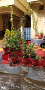 Image of 2100 Sq.ft 3 BHK Villa for rent in Neredmet, Secunderabad for Rs. 25000