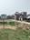 Ssb group Plot View 2