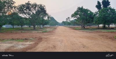 Residential Plot