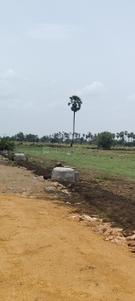 Image of 1650 Sq.ft Residential Plot / Land for sale in Vuyyuru, Vijayawada for Rs. 2566620