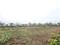 Perne Main Image 1