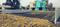Akshit realty Plot View 2