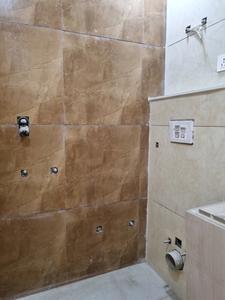 Common Bathroom Image of 600 Sq.ft 2 BHK Apartment / Flat for sale in Nawada New Delhi for Rs. 3900000