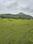 Pandav Nagari, Pathardi Phata Plot View 2