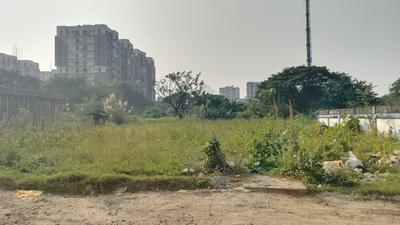 Action Area 2 Plot View 3