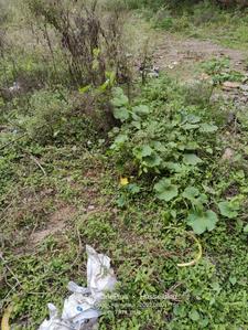 Image of 1200 Sq.ft Residential Plot / Land for sale in Vidyaranyapura, Bengaluru for Rs. 18100000