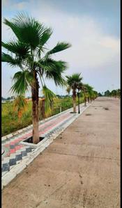 Shubh sankalp Plot View 2