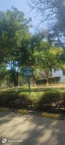Image of 250 Sq.ft Residential Plot / Land for sale in Central Park Flower Valley 3, Sector 32, Sohna for Rs. 57500000