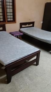 Bedroom Image of Homely PG in Nungambakkam, Chennai