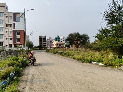 Action Area 2 Plot View 3