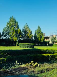 Image of 170 Sq.ft Residential Plot / Land for sale in Manohar The Palm Residency, New Chandigarh, Chandigarh for Rs. 16200000
