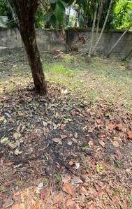 Image of 1179 Sq.ft Residential Plot / Land for sale in Budge Budge, Kolkata for Rs. 1600000