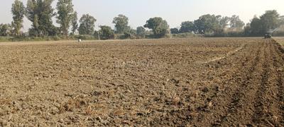 Image of 43560 Sq.ft Residential Plot / Land for sale in Sampla, Rohtak for Rs. 140000000