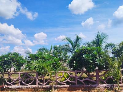 Image of 1000 Sq.ft Residential Plot / Land for sale in Naya Raipur, Raipur for Rs. 1350000