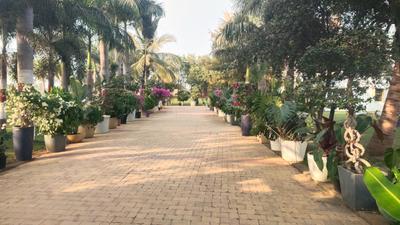 Image of 1500 Sq.ft Residential Plot / Land for sale in Sikola Bhata, Durg for Rs. 1950000
