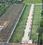 Assets nandi view enclave  Plot View 2
