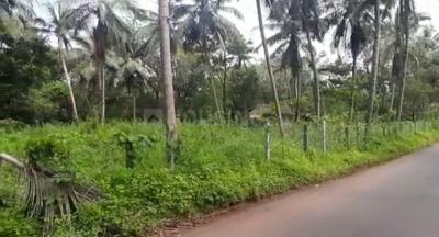 Residential Plot in Benaulim Plot View 2