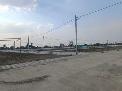 Manglia Plot View 3