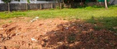 Maradu Plot View 2