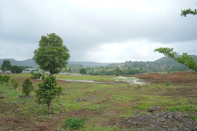 Image of 10890 Sq.ft Residential Plot / Land for sale in Kojoli, Nashik for Rs. 4500000