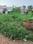 Unknown Plot View 2