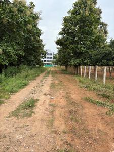 Pedathadivada Plot View 2