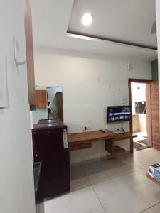 Hall Image of 380 Sq.ft 1 RK Studio for rent in Mahalakshmi Nagar Indore for Rs. 13999