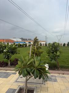 Image of 1000 Sq.ft Residential Plot / Land for sale in Airen Akashneem Vara, Mhow, Indore for Rs. 3500000