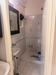 Bathroom Image of 1200 Sq.ft 3 BHK Apartment / Flat for rent in Bhopalpura Udaipur for Rs. 35000