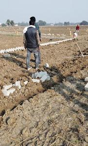 Image of 1361 Sq.ft Residential Plot / Land for sale in Shivala Par, Patna for Rs. 2900000