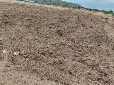 Residential Plot