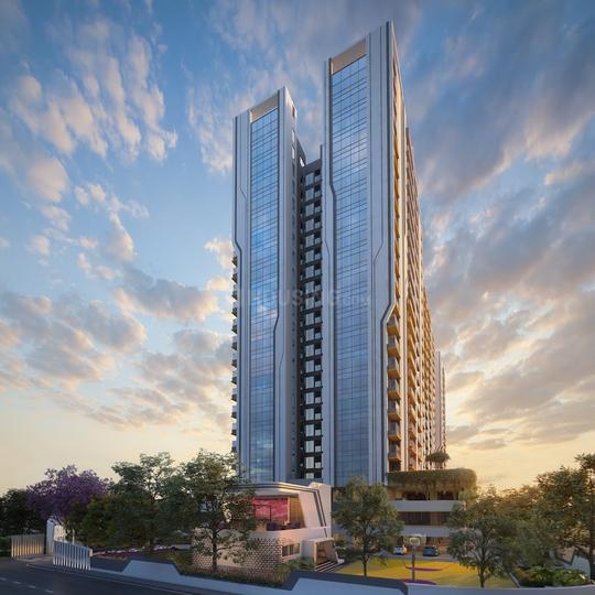 Tayal Envogue 1  Main Image 1