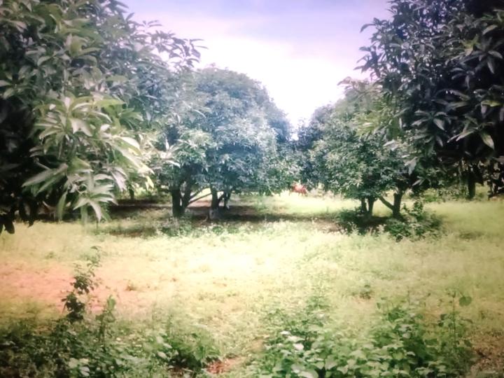 Vindhane Main Image 1