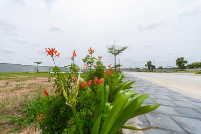 Image of 1400 Sq.ft Residential Plot / Land for sale in Nadavathi, Bengaluru for Rs. 8400000