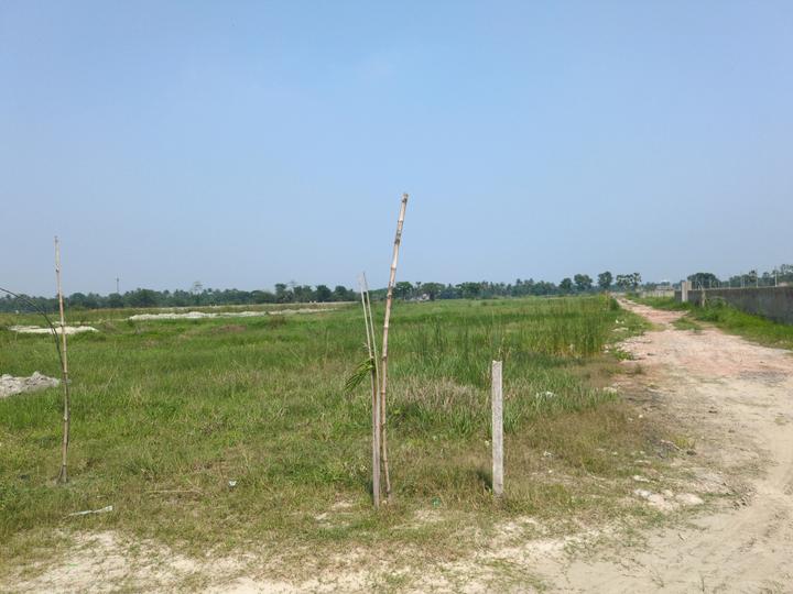 METRO PLEXCITY Main Image 1