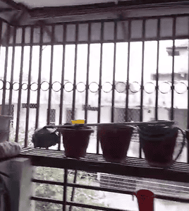 Balcony Image of 1200 Sq.ft 3 BHK Apartment / Flat for sale in IBD Hallmark Citii, Mahawadiya Bhopal for Rs. 3000000